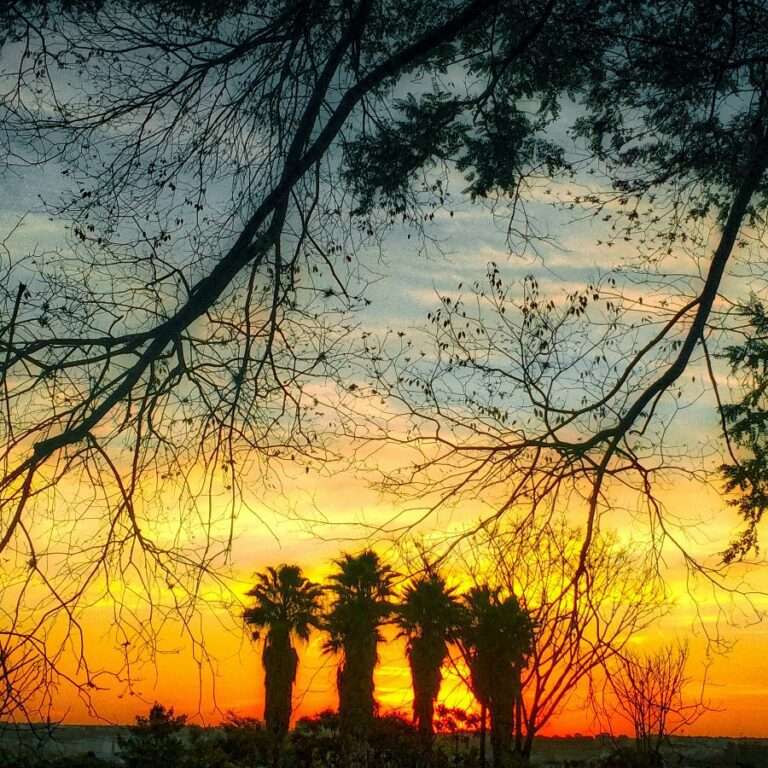 Por do Sol