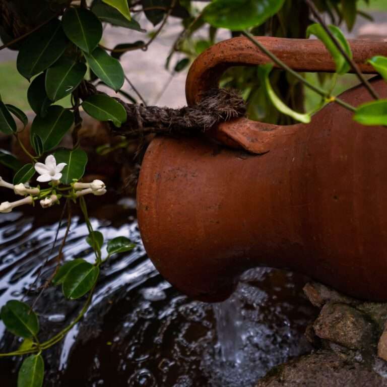 Detalhe Jardim do Poço